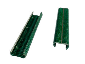 600 agrafes RAL 6005